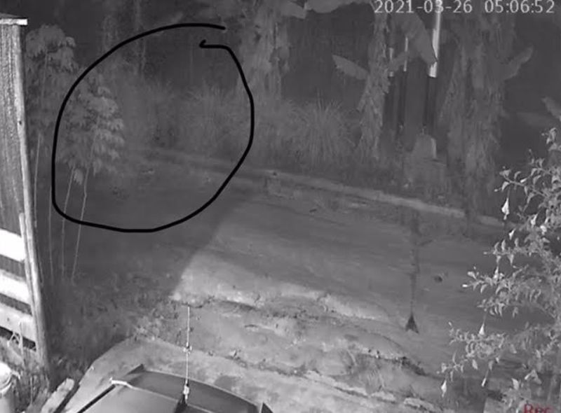 Heboh "Hantu Putih" Terekam CCTV Mondar-mandir di Rumah Pejabat Damkar