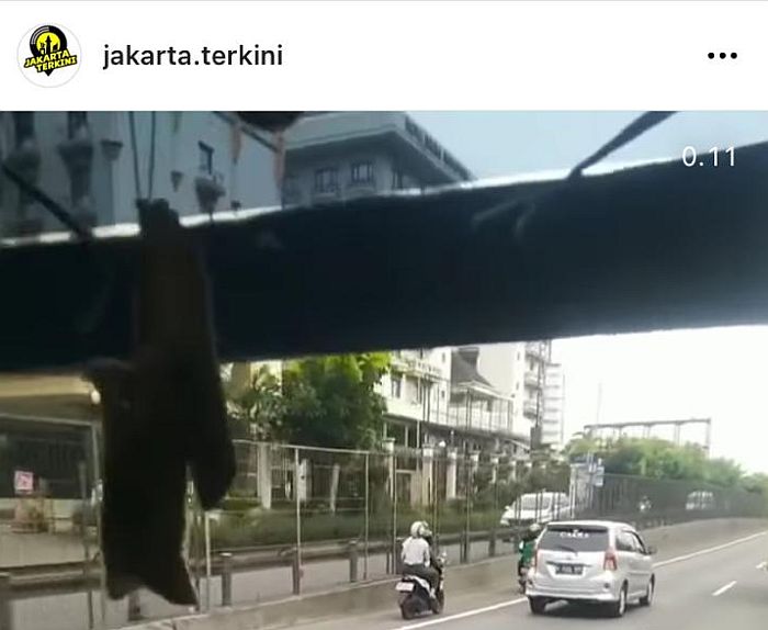 Viral, 2 Pengendara Motor Masuk ke Tol Jakarta-Merak