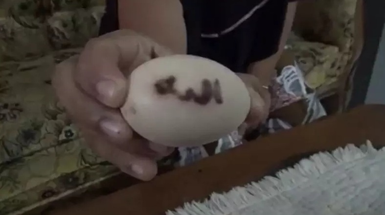 Viral Telur Ayam Lafaz Allah, Semula Dikira Kotoran