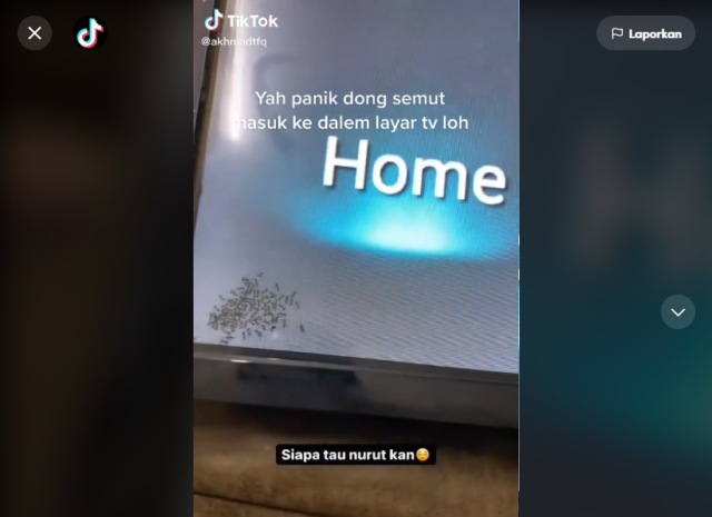 Unik, Gerombolan Semut Masuk TV Mendadak Viral di Medsos