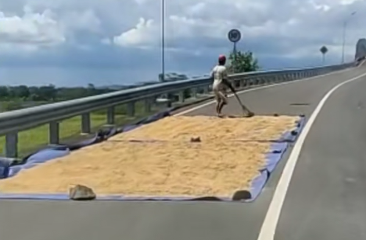 Viral Petani Jemur Padi di Flyover, Tutupi Setengah Badan Jalan