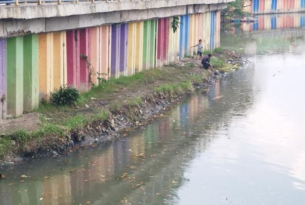 Viral, Ratusan Ikan Mujair Mati Mendadak di Danau Sunter Tanjung Priok