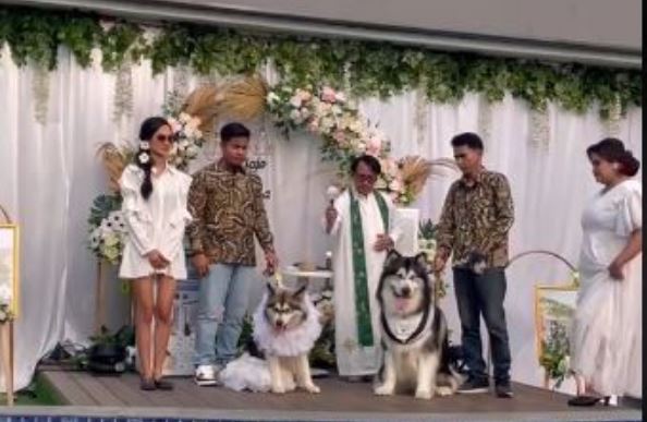 Viral Acara Pernikahan Anjing, Ternyata Sudah Ada Sejak Sebelum Masehi?