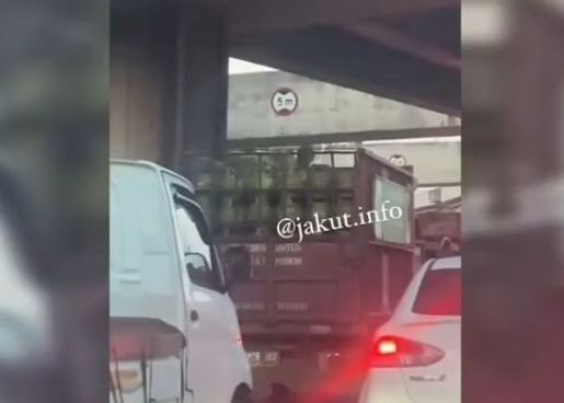 Viral Bajing Loncat Curi Tabung Gas 3 Kg dari Truk di Tanjung Priok, Polisi Turun Tangan