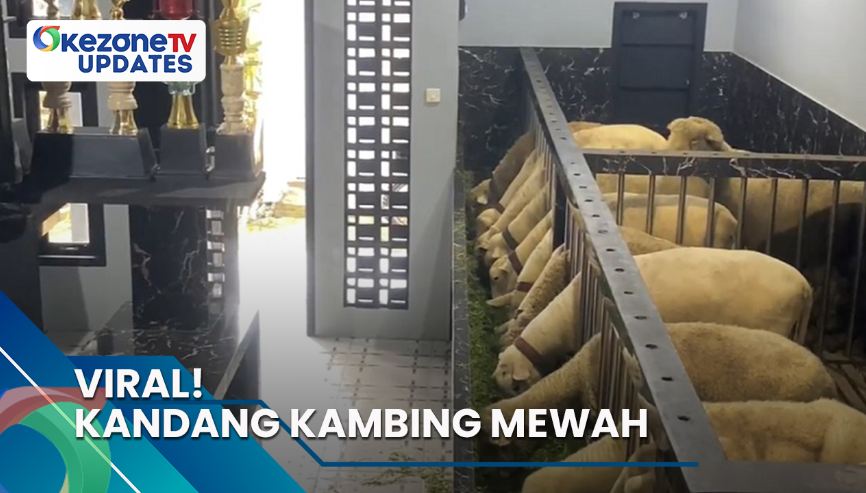 Viral! Kandang Kambing Mewah, Informasi Selengkapnya di Okezone Updates